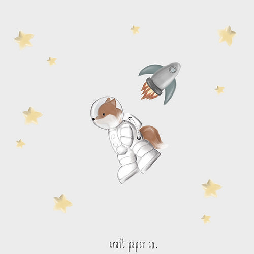 Astrofox Ve Roket Sticker