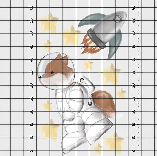 Astrofox Ve Roket Sticker