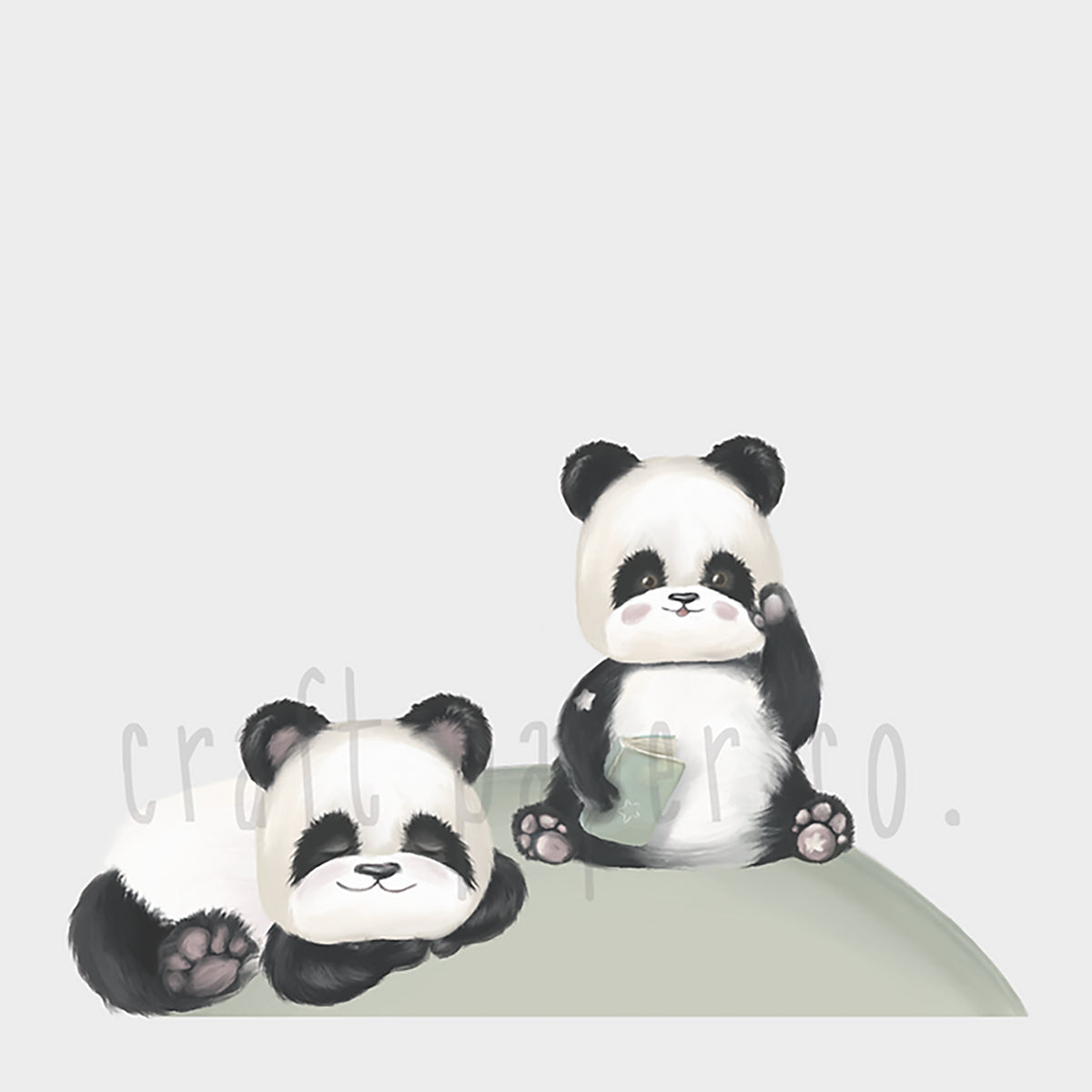 Kitap Okuyan Panda ve Hayalperest Panda