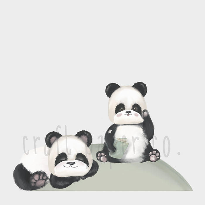 Kitap Okuyan Panda ve Hayalperest Panda